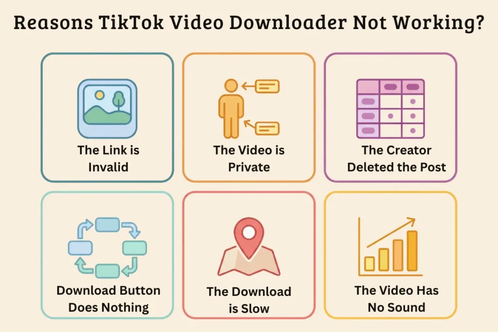 TikTok Video Downloader not working