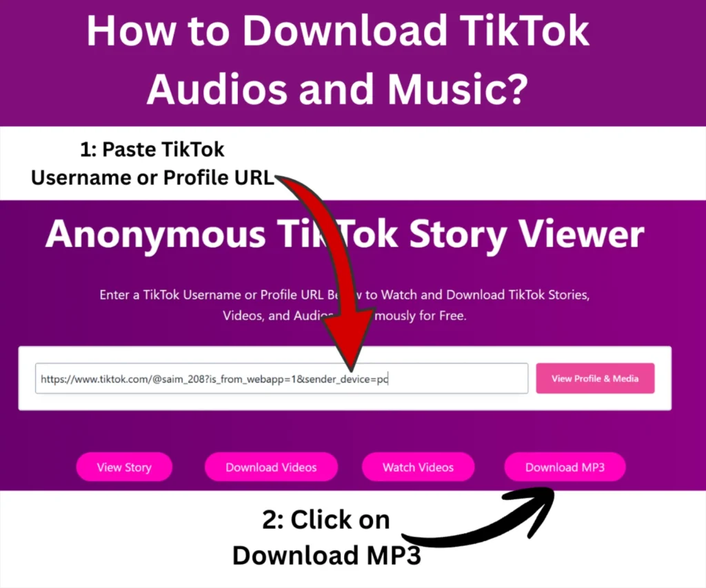 TikTok Story Viewer FAQs. How to Download TikTok music and Audios