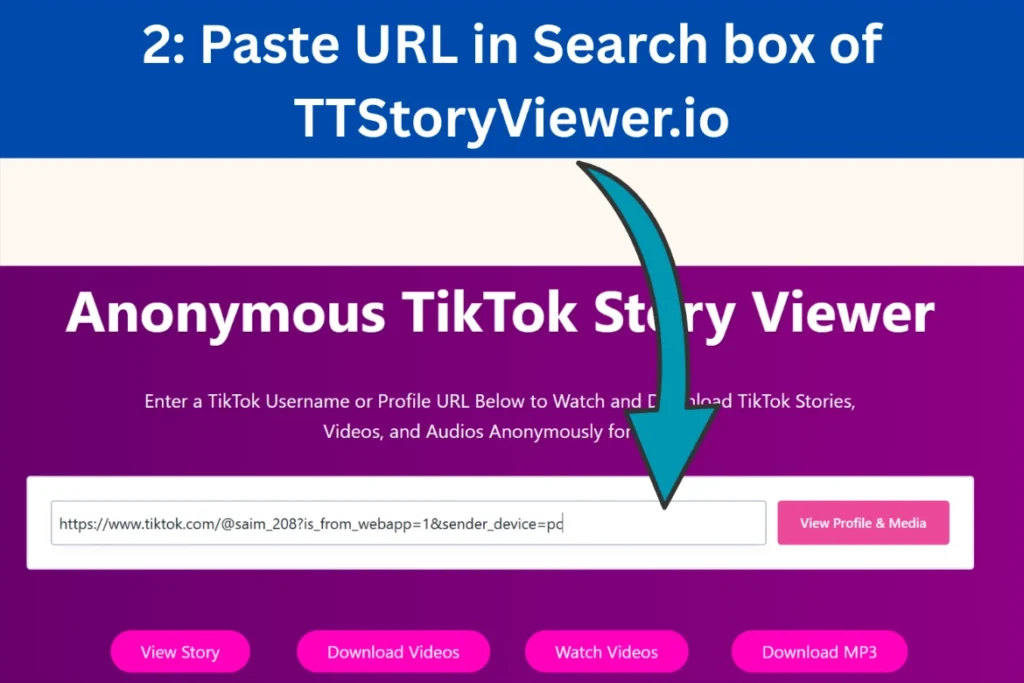 How to Save TikTok Videos without Watermark Step 2