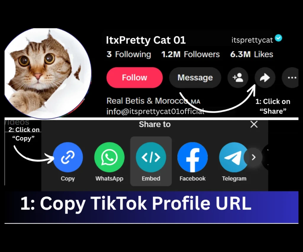 How to see TikTok Stories anonymously in TTStoryViewer.io