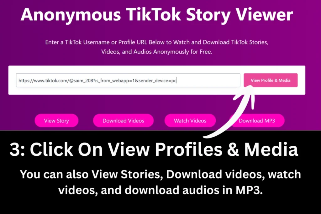 How to See TikTok Stories anonymously step 3