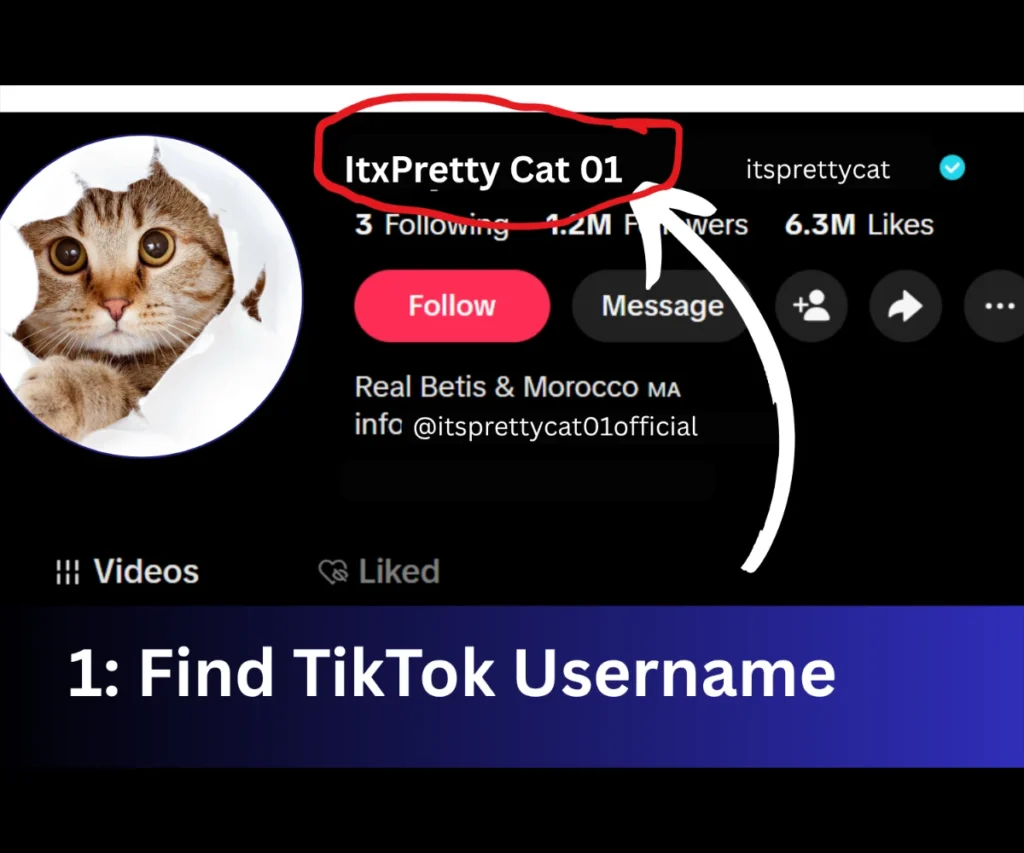 How to View TikTok Stories by Username Step 1