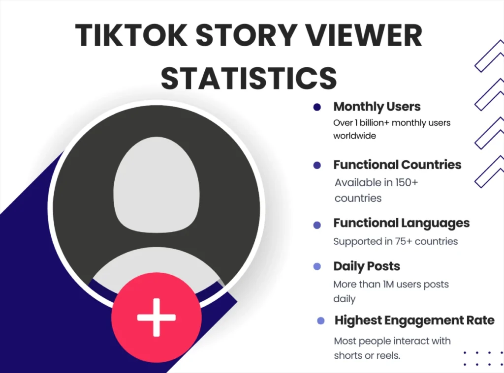 TikTok Story Viewer Tool Online Statistics