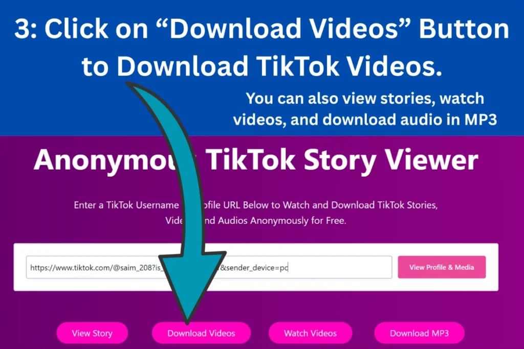 Step 3 of Download TikTok Videos Without Watermark