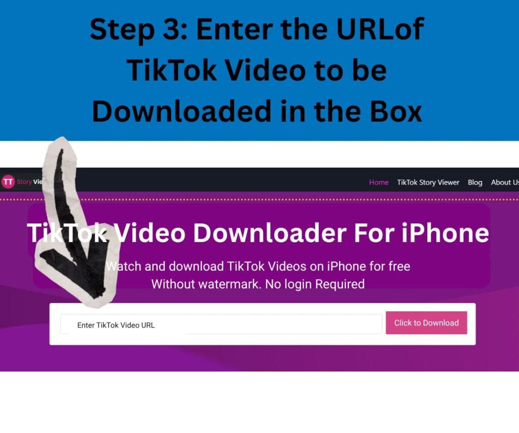 Step 3 of using a tiktok video downloader for iphone WebP