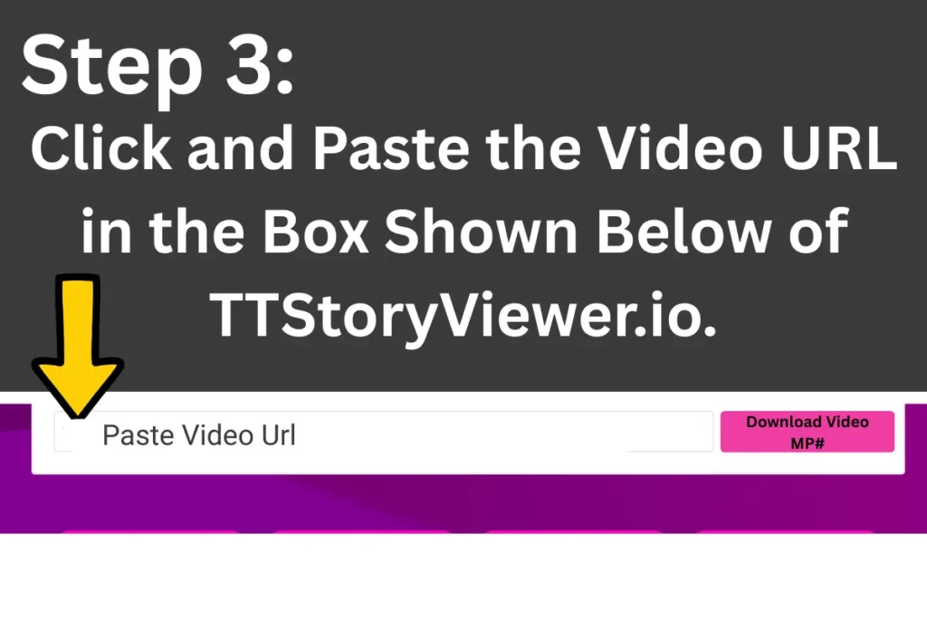 Step 3 to Use Video Downloader
