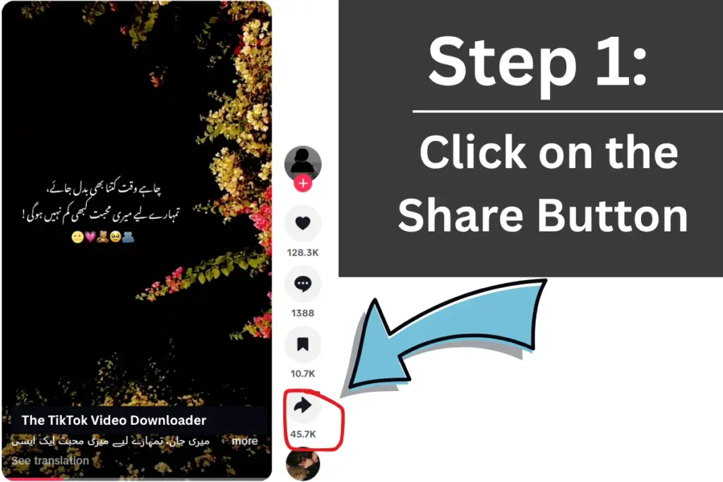 Step1 to TikTok Video Downloader