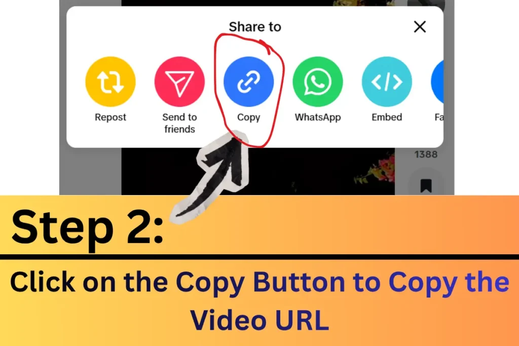 Step2 TikTok Downloader