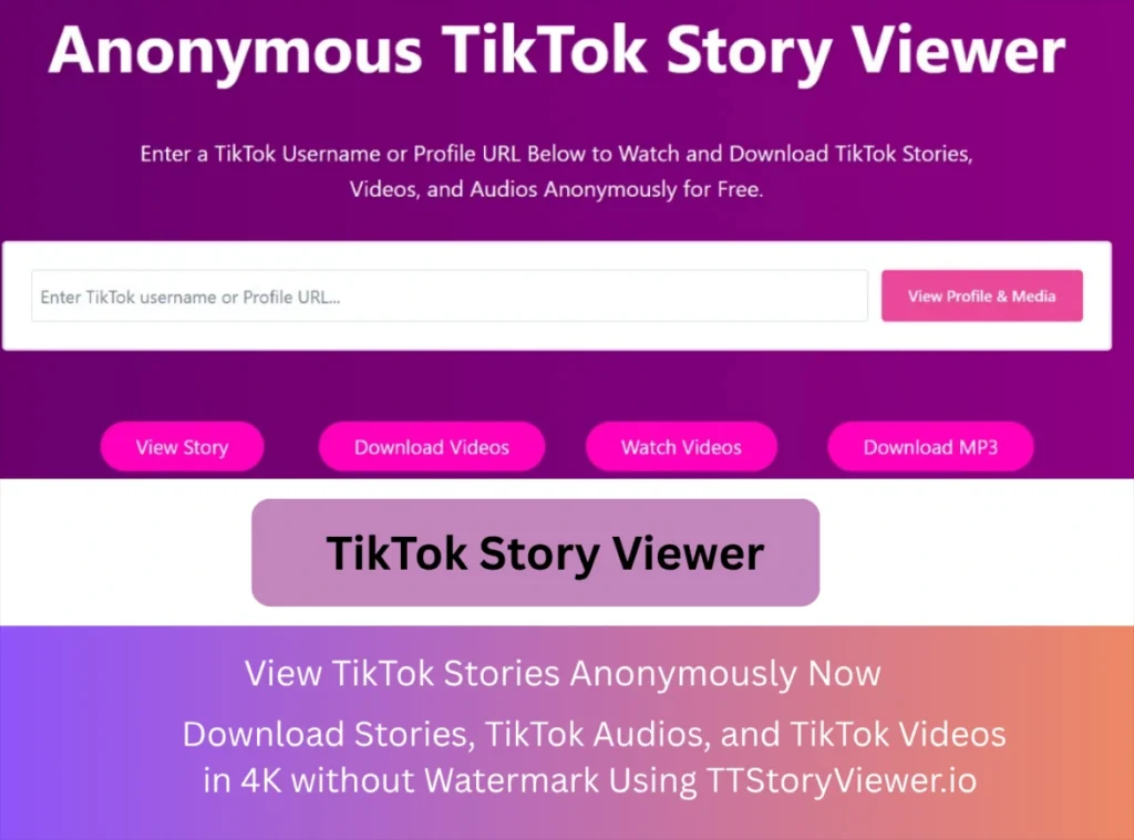 Anonymous TikTok Story Viewer Homepage Design