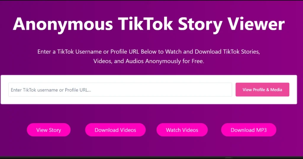 Homepage Design of TikTok Story Viewer Tool