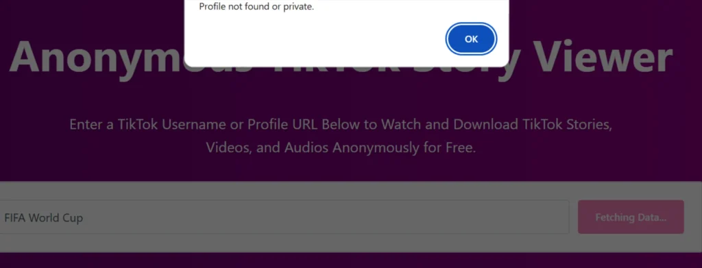 TikTok profile not showing