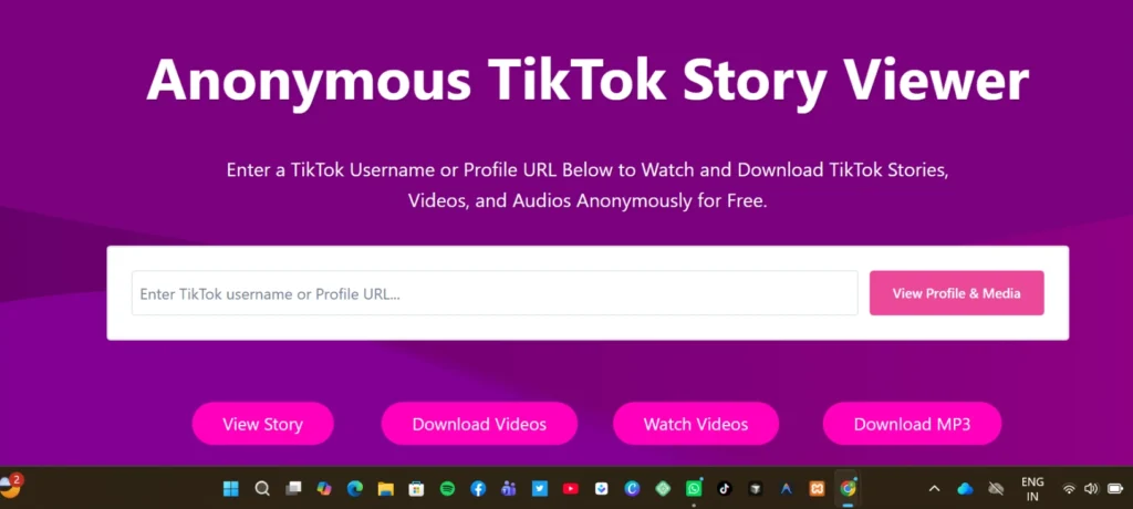 TikTok Viewer Anonymous by TTStoryViewer.io