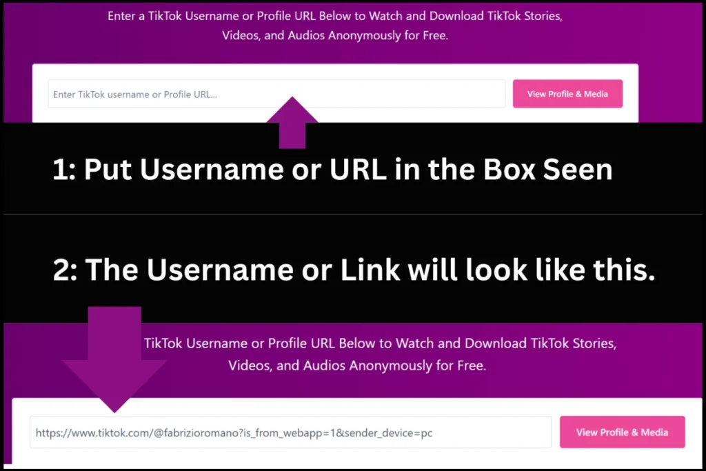 How to view TikTok stories by Username step2
