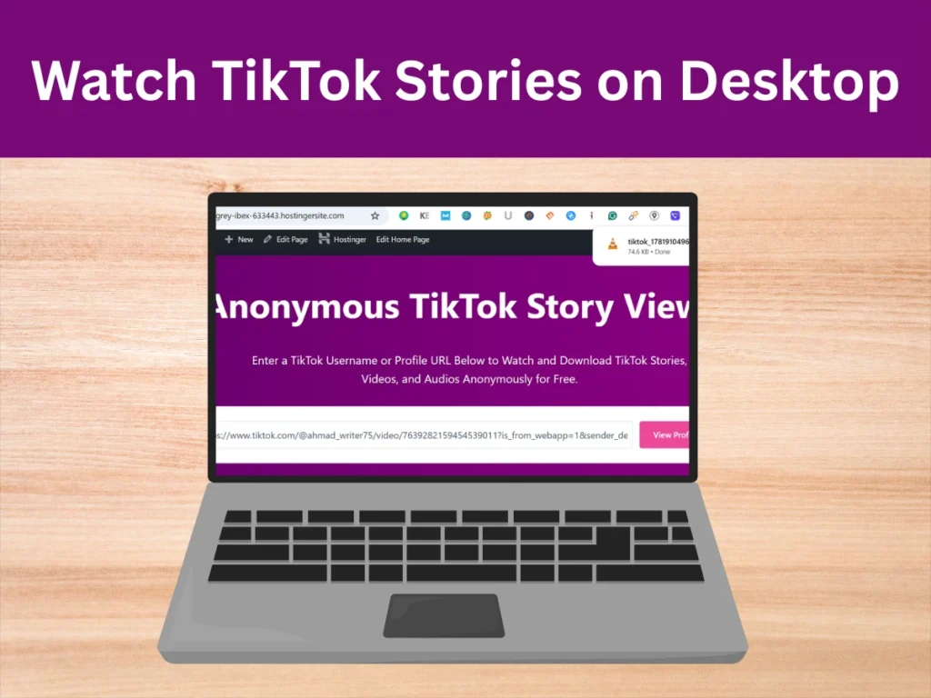 Watch TikTok Stories on Desktop