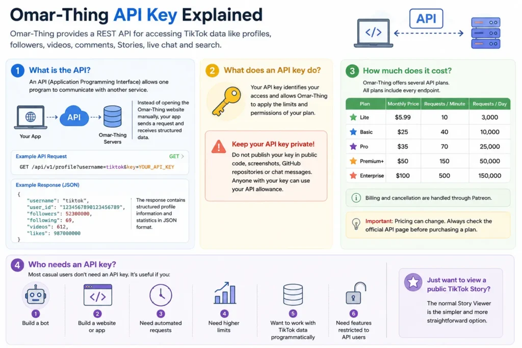 Omar-Thing TikTok Story Viewer API Key Explained Infographic